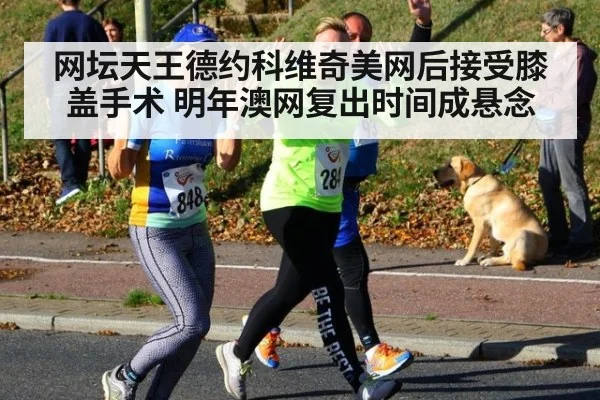 网坛天王德约科维奇美网后接受膝盖手术 明年澳网复出时间成悬念