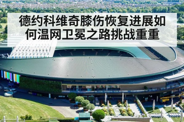 德约科维奇膝伤恢复进展如何温网卫冕之路挑战重重