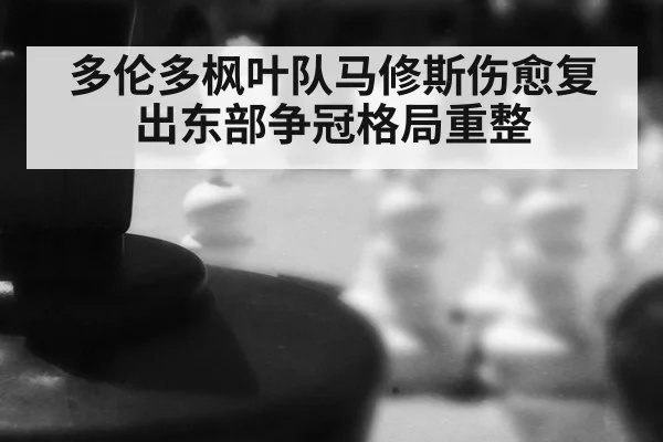 多伦多枫叶队马修斯伤愈复出东部争冠格局重整